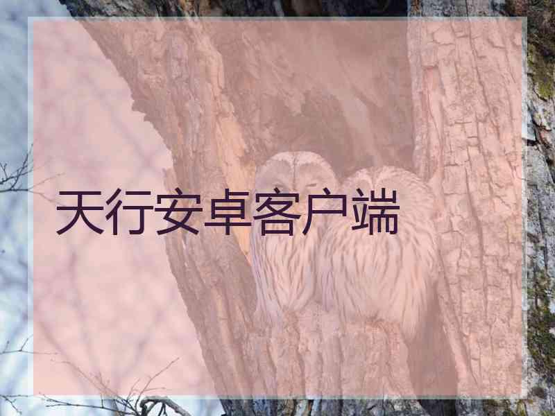 天行安卓客户端