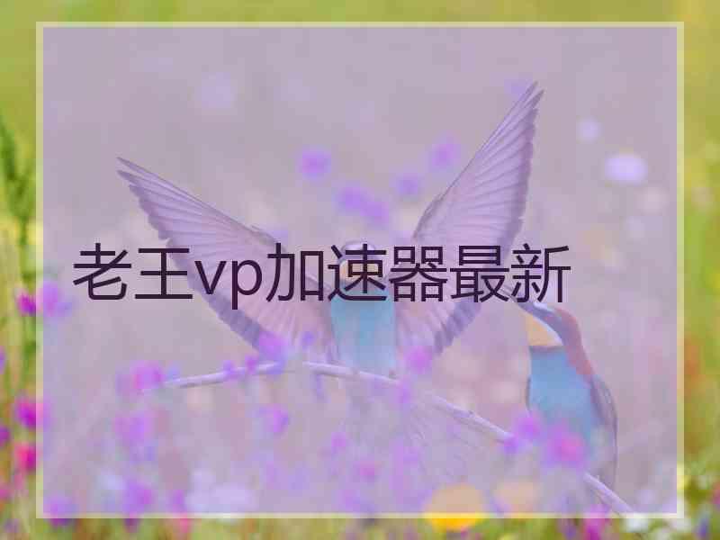 老王vp加速器最新