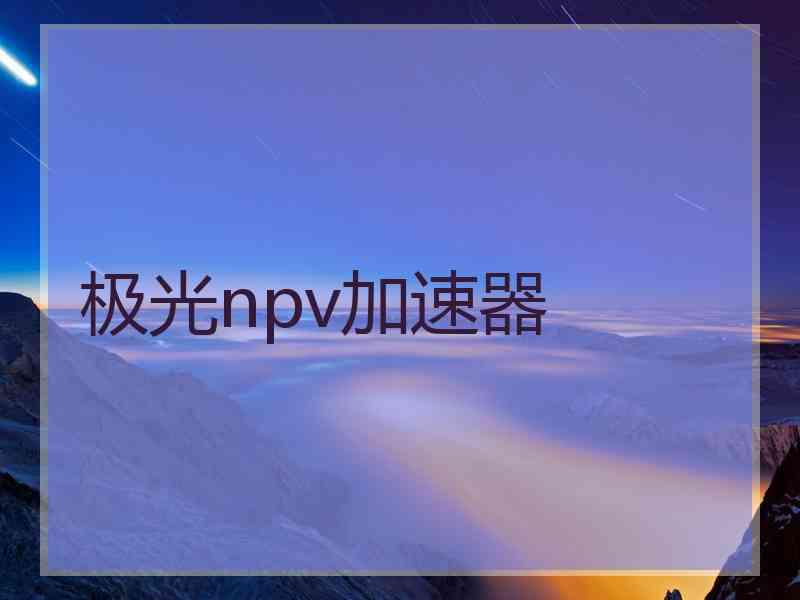 极光npv加速器