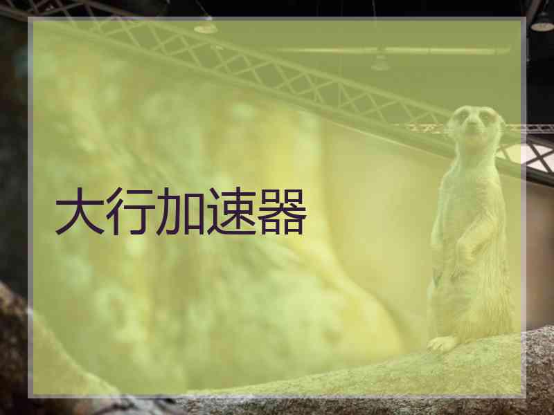 大行加速器