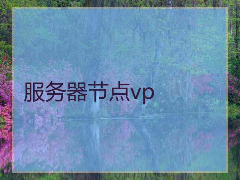 服务器节点vp