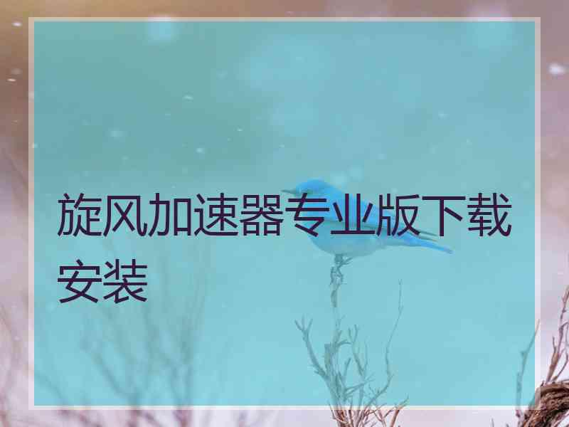 旋风加速器专业版下载安装