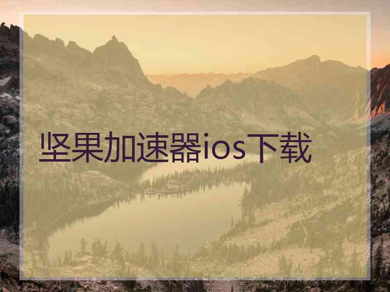 坚果加速器ios下载