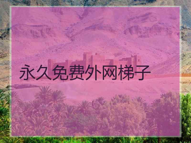 永久免费外网梯子