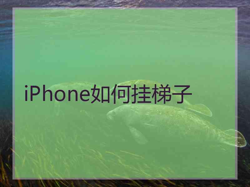 iPhone如何挂梯子