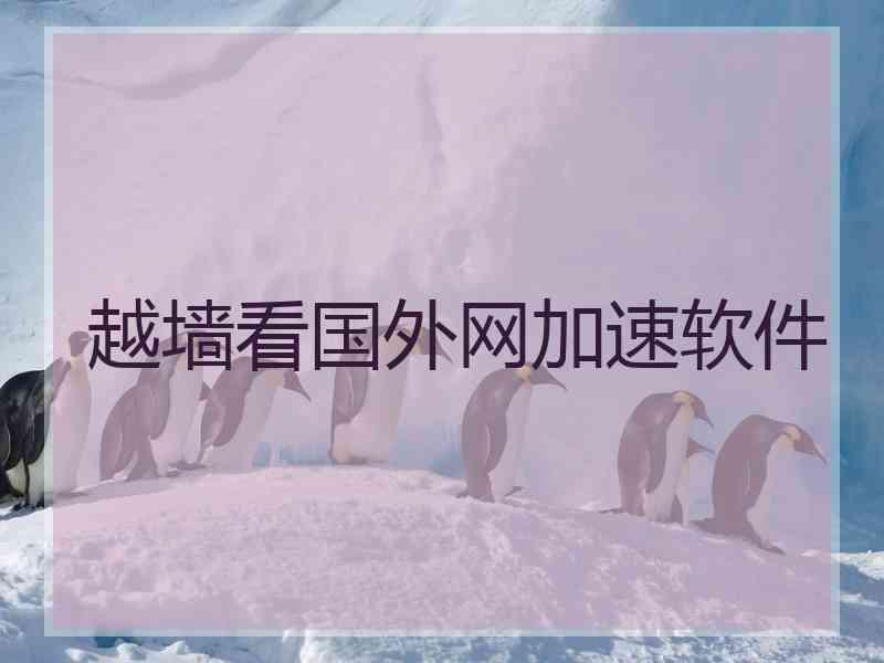 越墙看国外网加速软件