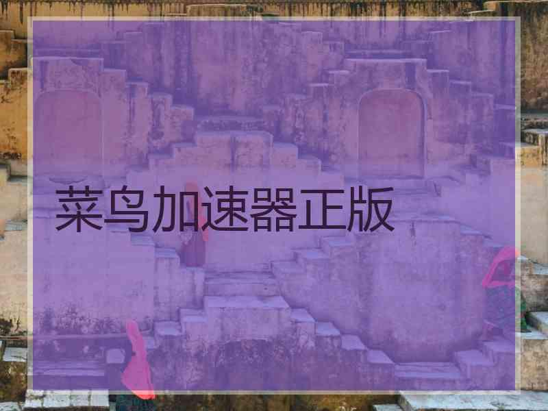 菜鸟加速器正版