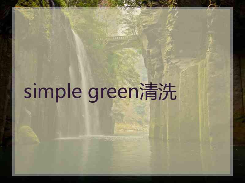 simple green清洗