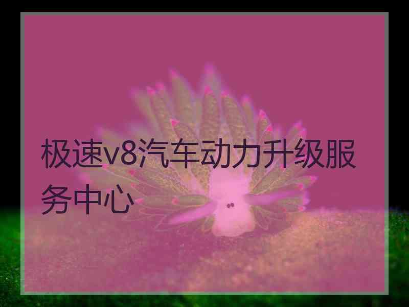 极速v8汽车动力升级服务中心
