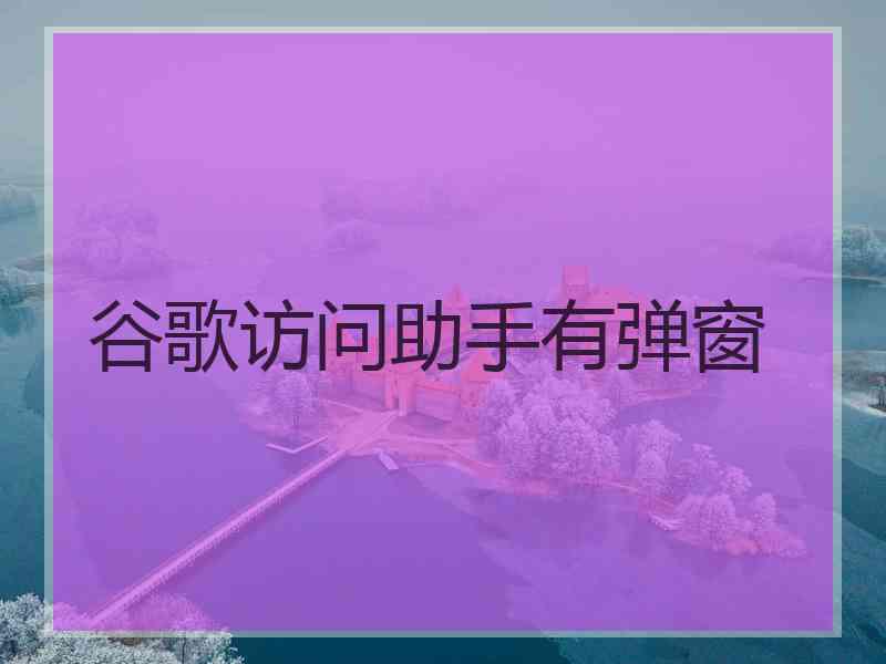 谷歌访问助手有弹窗