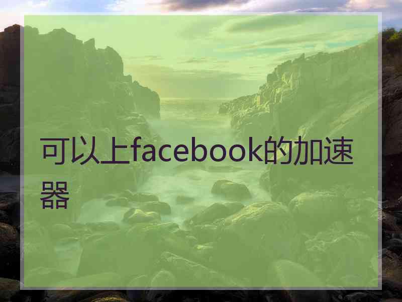 可以上facebook的加速器