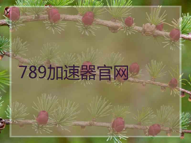 789加速器官网