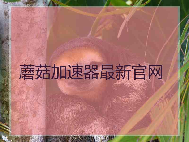 蘑菇加速器最新官网