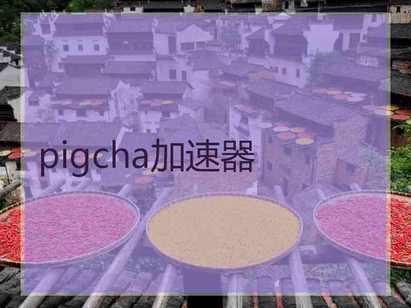 pigcha加速器